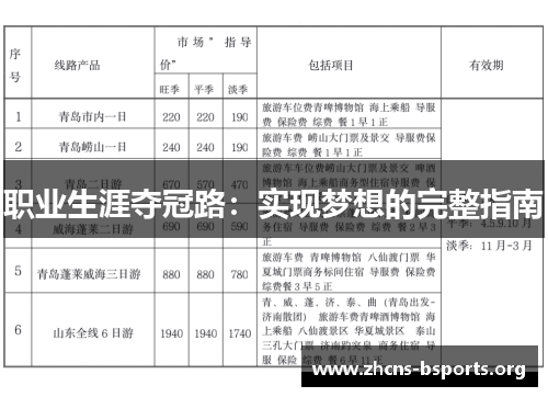 职业生涯夺冠路:实现梦想的完整指南 职业生涯夺冠路:实现梦想的完整指南