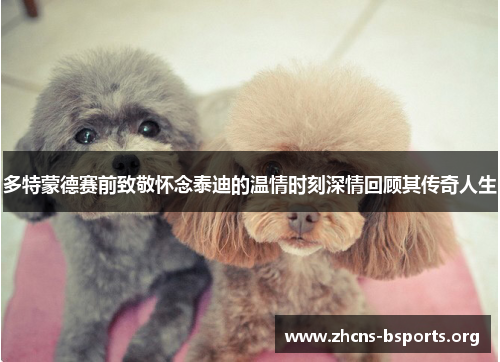 多特蒙德赛前致敬怀念泰迪的温情时刻深情回顾其传奇人生 多特蒙德赛前致敬怀念泰迪的温情时刻深情回顾其传奇人生