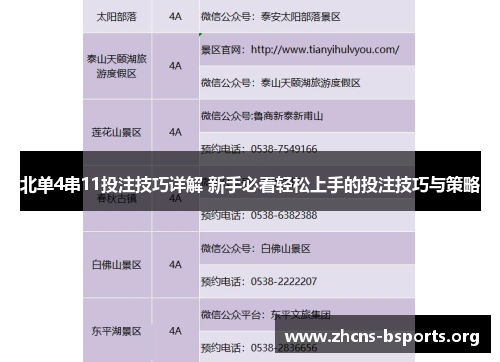 北单4串11投注技巧详解 新手必看轻松上手的投注技巧与策略