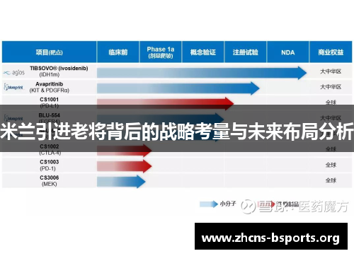 米兰引进老将背后的战略考量与未来布局分析 米兰引进老将背后的战略考量与未来布局分析
