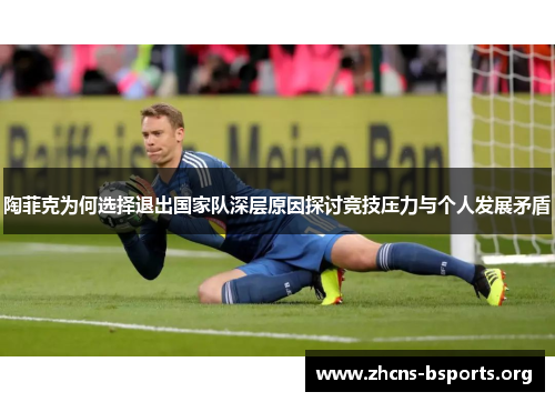 陶菲克为何选择退出国家队深层原因探讨竞技压力与个人发展矛盾