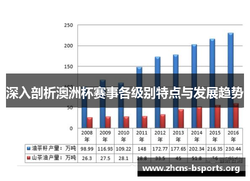 深入剖析澳洲杯赛事各级别特点与发展趋势